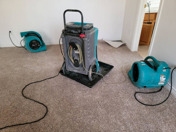 Best Flood restoration services  in Sulligent, AL