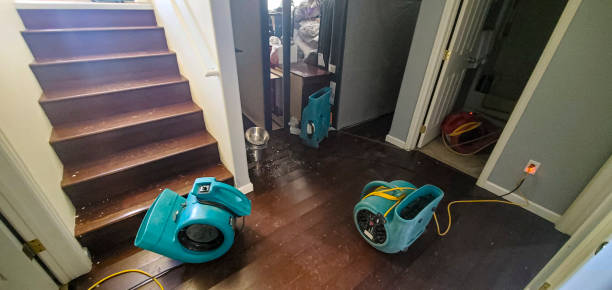Best Residential water damage restoration  in Sulligent, AL