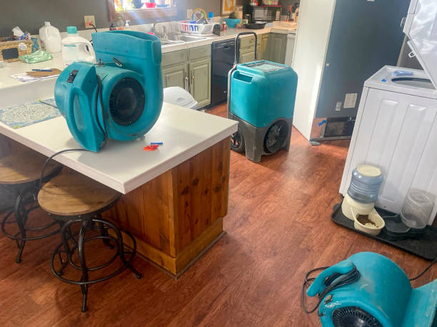 Best Basement water damage restoration  in Sulligent, AL