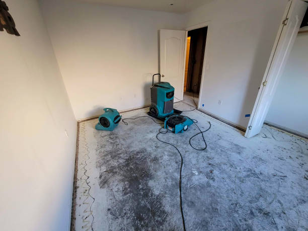 Best Basement water damage restoration  in Sulligent, AL