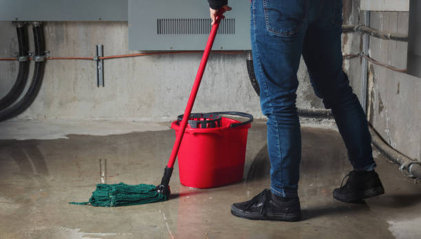 Water damage restoration experts in Sulligent, AL