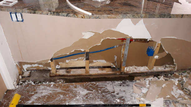  Sulligent, AL Water damage restoration Pros