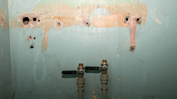 Best Water damage restoration near me  in Sulligent, AL