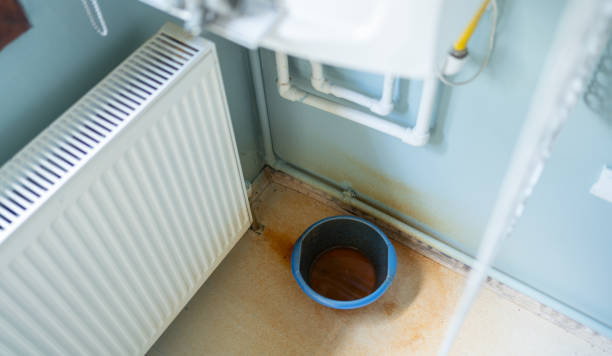 Best Professional water damage repair  in Sulligent, AL