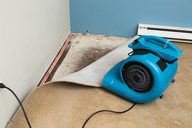 Best Water damage restoration experts  in Sulligent, AL